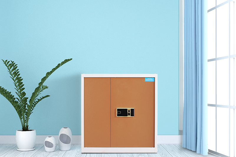 單節(jié)指紋鎖保密柜白套咖